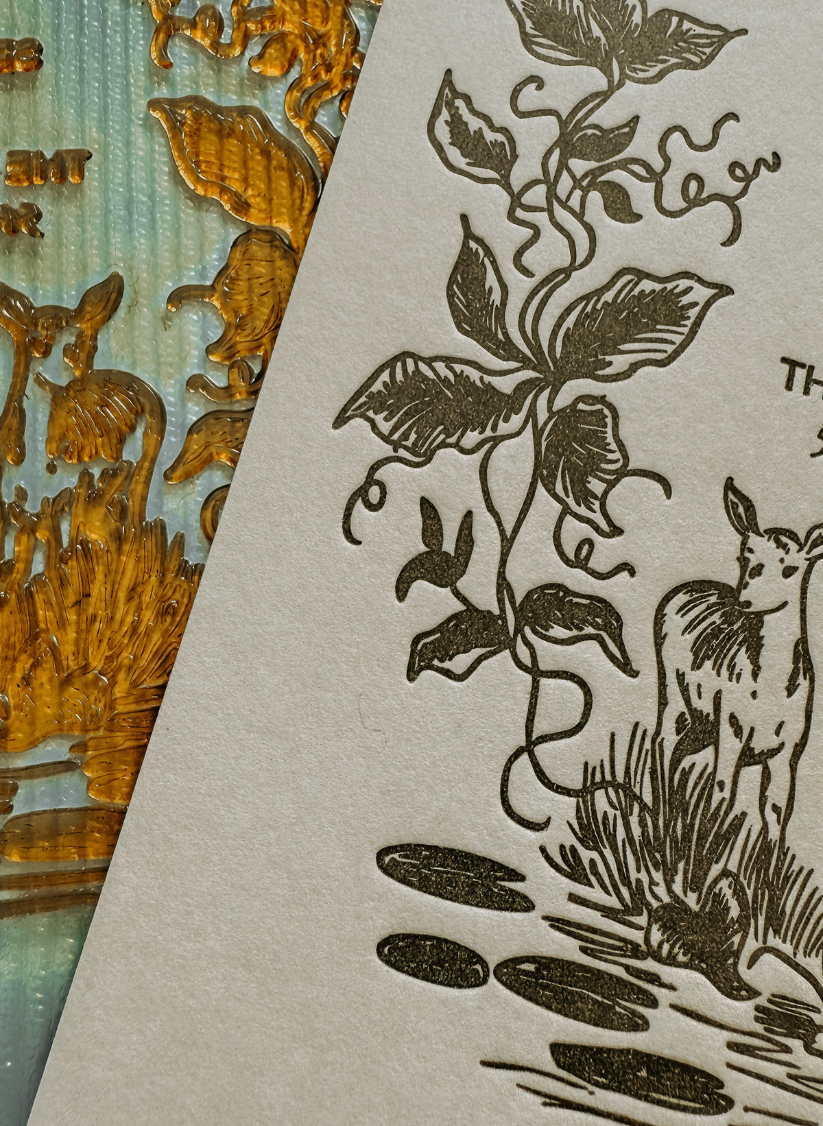 Close-up of a photo-polymer letterpress plate next to pressed design in olive green ink on paper. 